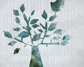 shrub