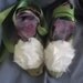 Tinkerbell Adult Size Flower Fairy Costume Shoes Slippers-Faeryspell Creations