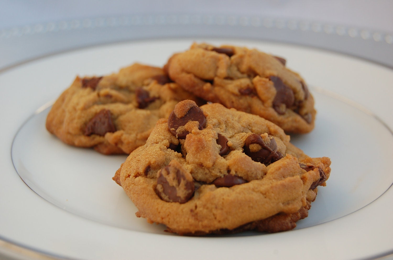 Chocolate Chip Cookies