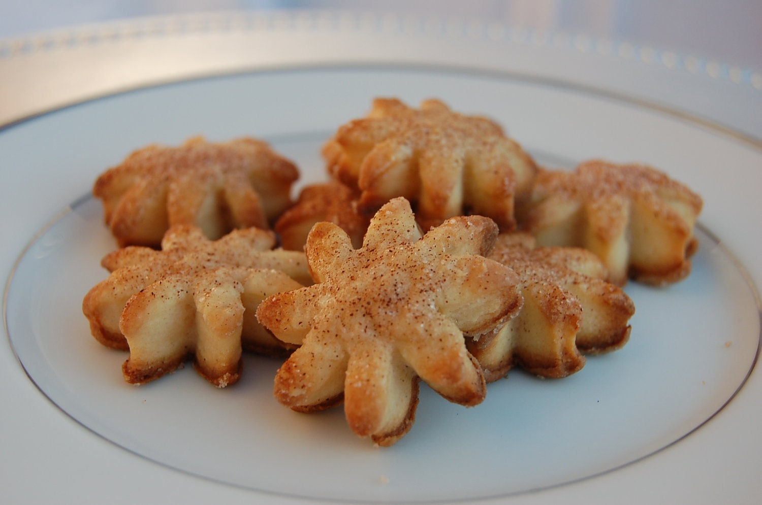 Cinnamon Sugar Blooms
