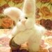 Marco - The Easter Bunny's Cousin
