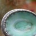 limpet ring
