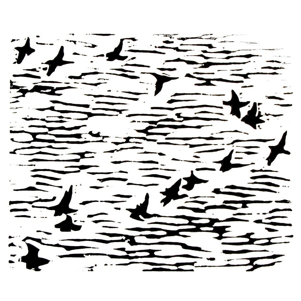 v of birds