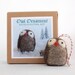 Holiday Owl Ornament Needle Felting Kit