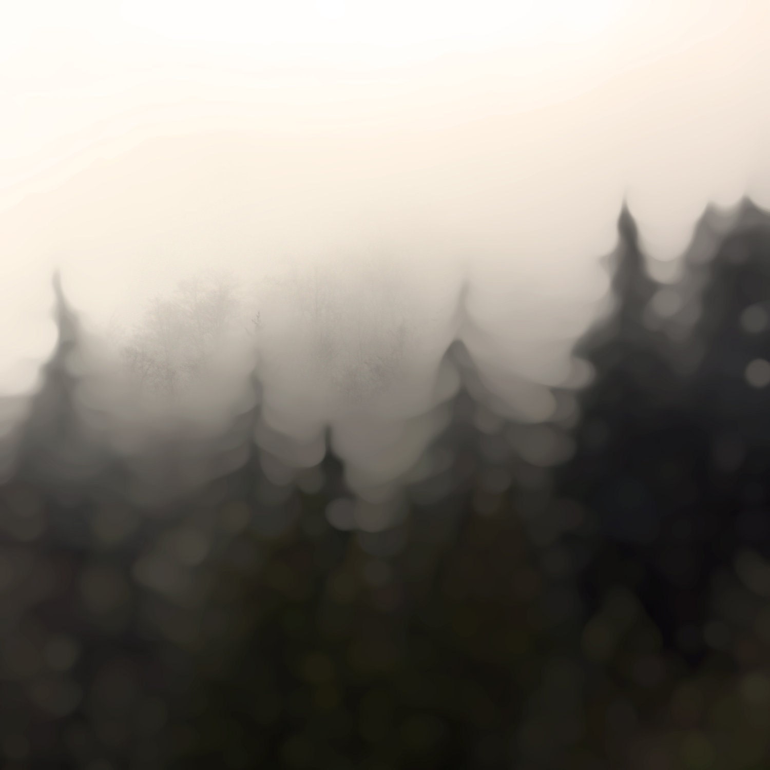 Assuage : Photographic Print, of rustic mountainous forest east of Seattle WA, softly blurred for a warm, smokey, romantic and dreamy feel. - BlueAlgaeCreative