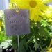 Extra Large hand stamped garden / herb marker .. 2" square