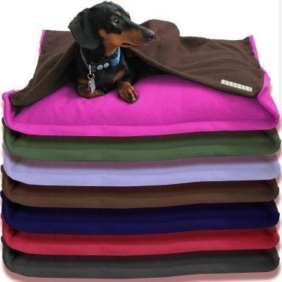 Eco Pet Bed - Build Your Own