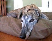 Unique Tough DOG BED Cover for 23 x 30 Crate made from Quality Duck Canvas