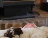 Dog Bed Duvet Cover MED 25x38 : MANY canvas colors - Use two standard sleeping pillows as stuffing