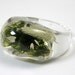 Clear  Moss and Grass Ring