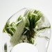 Clear  Moss and Grass Ring