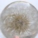 Dandelion Pendant
