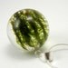 Green Moss Resin and Silver Necklace, Small Moss pendant