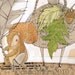squirrel print - woodland artwork - limited edition - ARCHIVAL - 5 x 10 inches,  by cori dantini