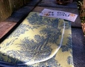 Green Toile GIft Bag