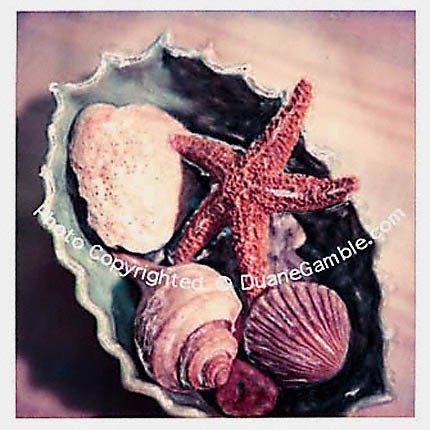 Beach,Fine Art Print, 7.5" X 7.5", Starfish, Welk,Scallop,Clam,Antique Dish,Aqua,Polaroid Photography,Artisan Made, Beach Collection 1