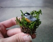 Mini Felted Red Breasted Nuthatch