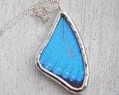 Real Butterfly Wing Jewelry Small Blue Morpho portis Necklace