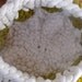 Knit felt anthropod vessel sculpture
