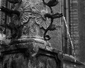 Splash, Germany, 11 x 14 Matted Photograph
