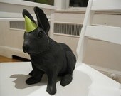 Surprise Party (Rabbit)