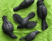 Black Flock Installation - 5 Birds