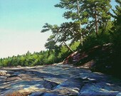 18x24 Original - Pines on Lakeshore