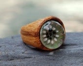 Wood Ring Glass Cab Boro Borosilicate Lampwork Wooden Jewelry Eye of Horus Size 7