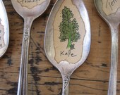KALE     Old Silver Spoon Garden Marker