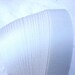 Moravian Star Paper Strips Metallic White DIY (50 strips, 1 inch wide)