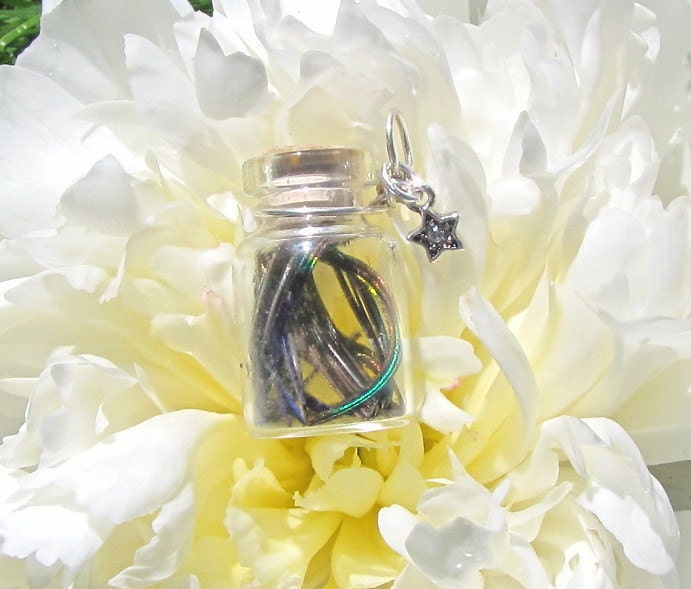 Peacock Feathered Bottle Necklace