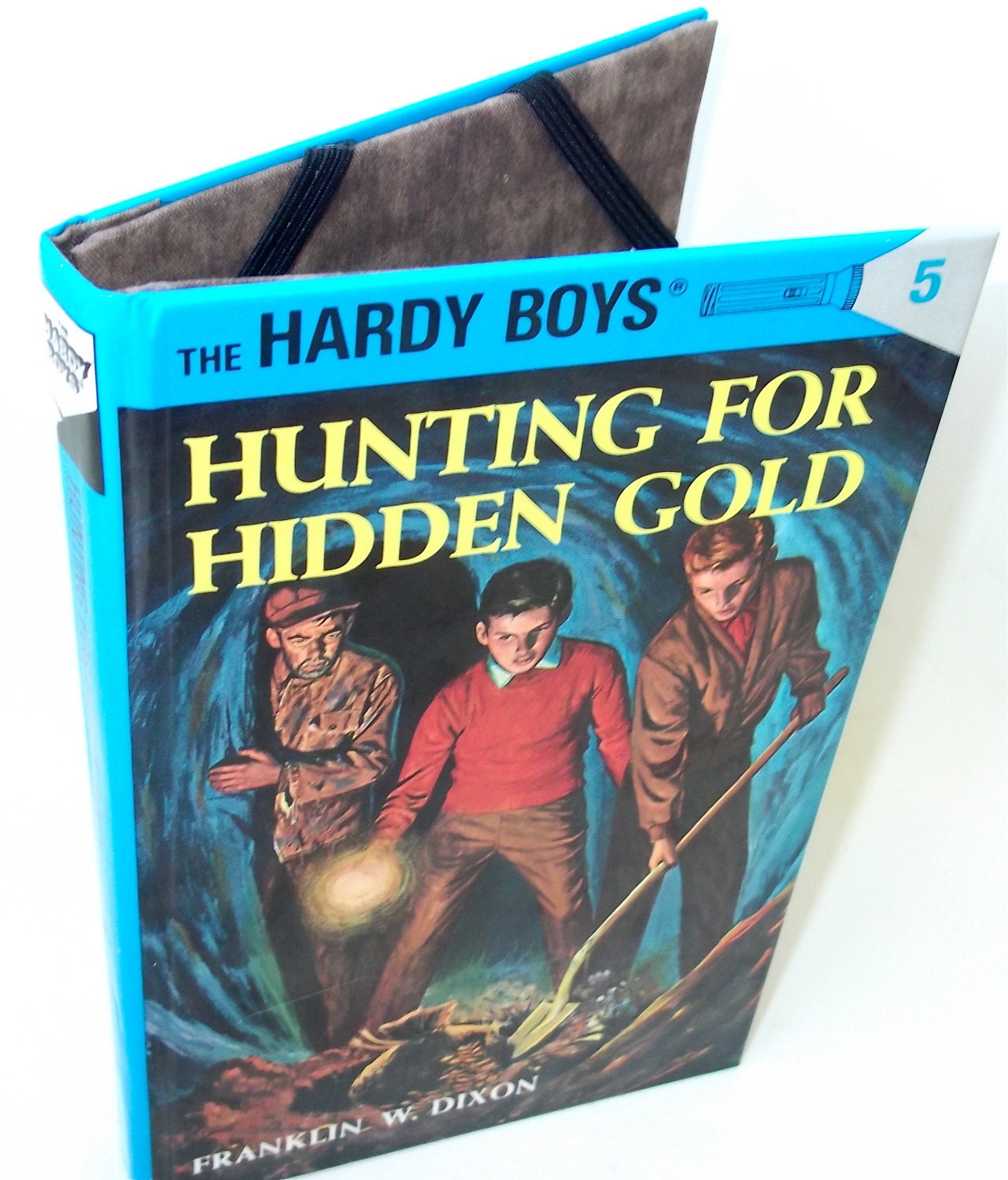 Hardy Boys Book Ereader Cover  for Nook Kobo Kindle - Hidden Gold - Tablet Device Case