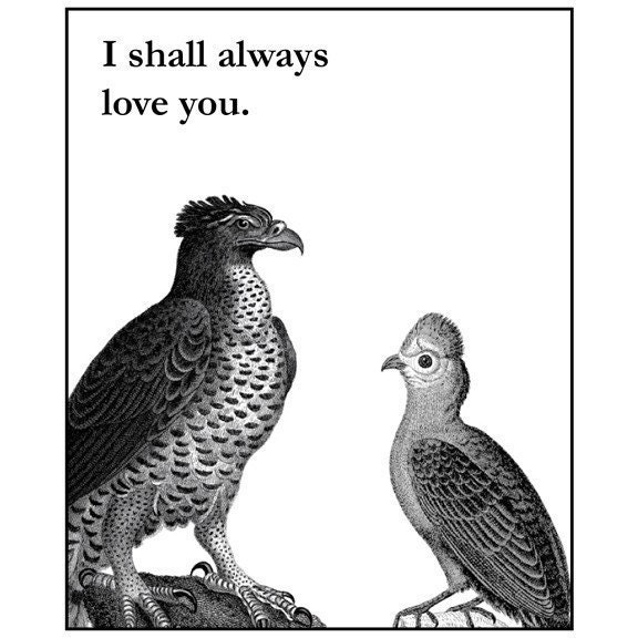 Outlaw Love Birds Card