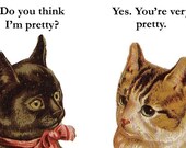 Am I Pretty - Cat Magnet