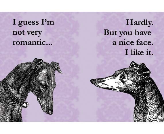 You Have A Nice Face - Greyhound Dog Magnet