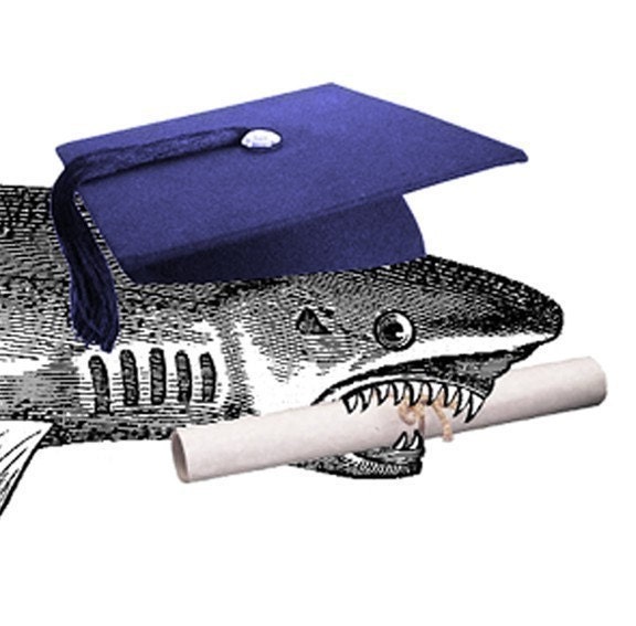 Shark Attack - No Wait - Its Just A Graduation Card
