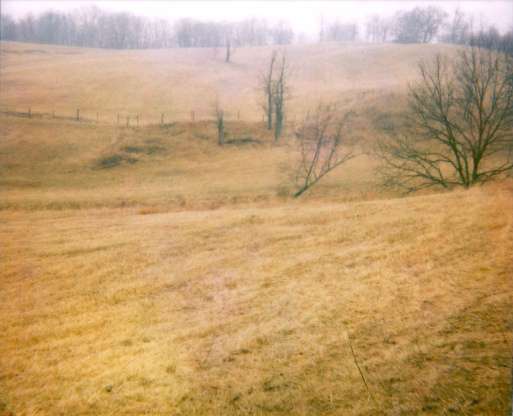 Field, 5x7 photograph, contemporary art