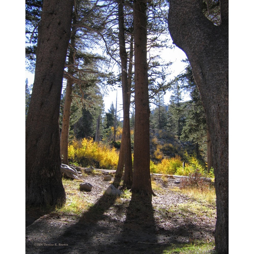 Twin Lakes Morning, Original Photography Print 8x10