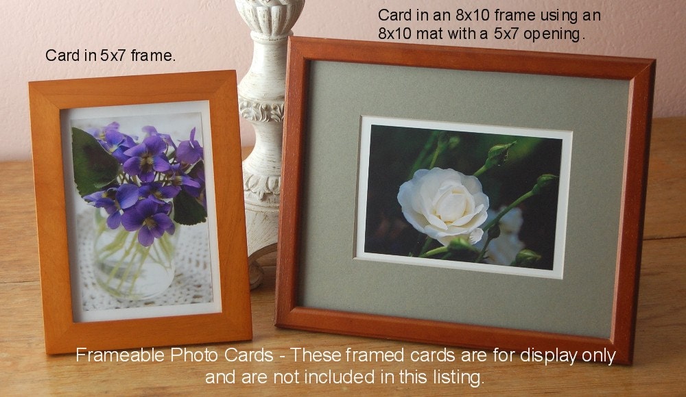 Blank Note Card, Pink Carnations Teacups Photo Note Card, Greeting Card, Mother's Day Card