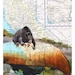 Bear Map Print - Reproduction of Vintage California MAP - Bear on Canoe Art Print - Animal Map Print, Original Mix Media