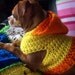 Crocheted Hooded Dog Sweater Pattern PDF Small and Medium Sizes