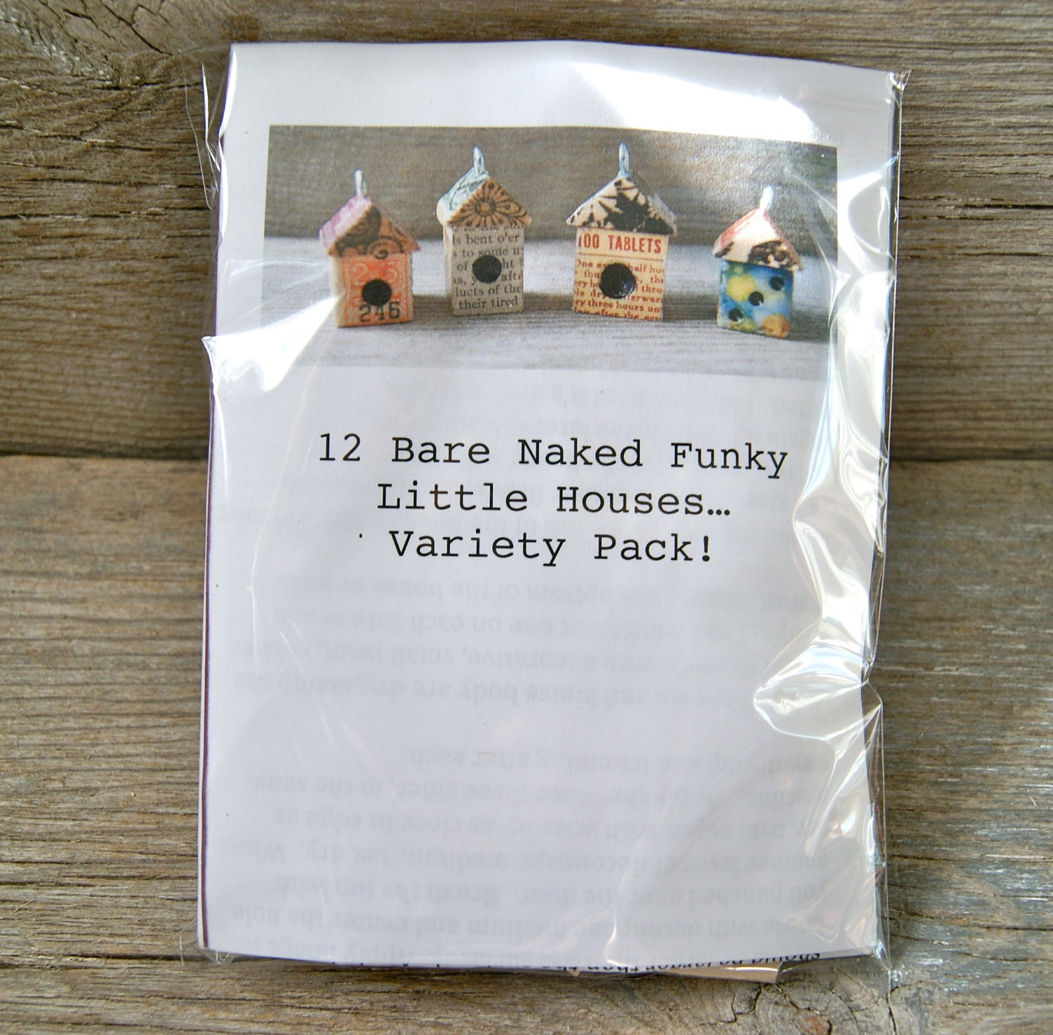 Bare Naked VARIETY House Birdhouse Kit - Makes 12 House Pendants - Do It Yourself DIY - Art By Heather