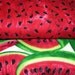 Fabric, Watermelon Slices and Seeds, 2 pc Fat Quarter bundle