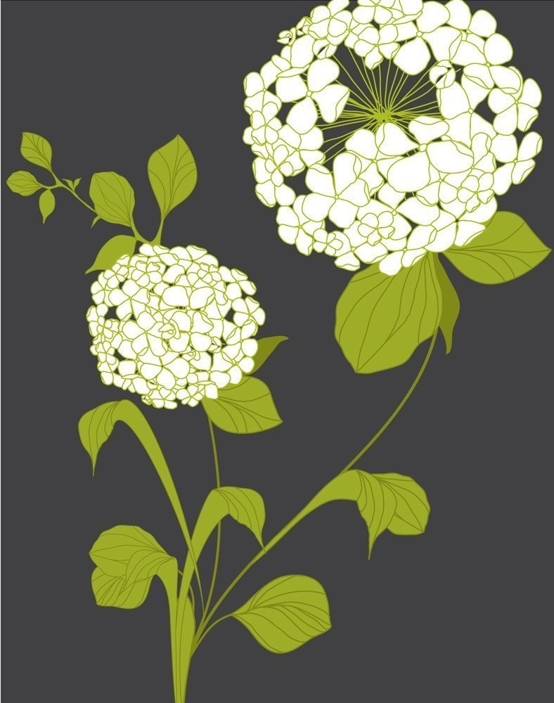 Hydrangea - 11x14 Print