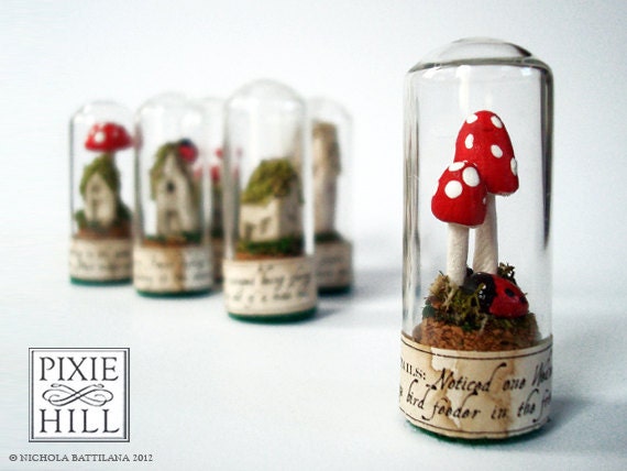Fairy Specimen Under Glass - No.010.12 - with Red Spotted Toadstools and Ladybug