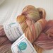 TUTTI FRUTTI - SeaWool Merino/SeaCell Sock Yarn