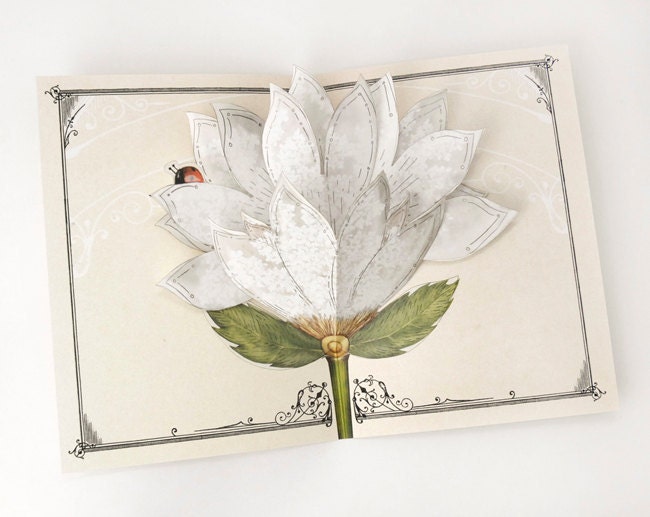 Pop Up Greeting Card  - White Lace Flower Bloom for weddings, anniversary, spring time, thinking of you and special occasions. - crankbunny