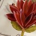 Red Flower Pop Up Greeting Card