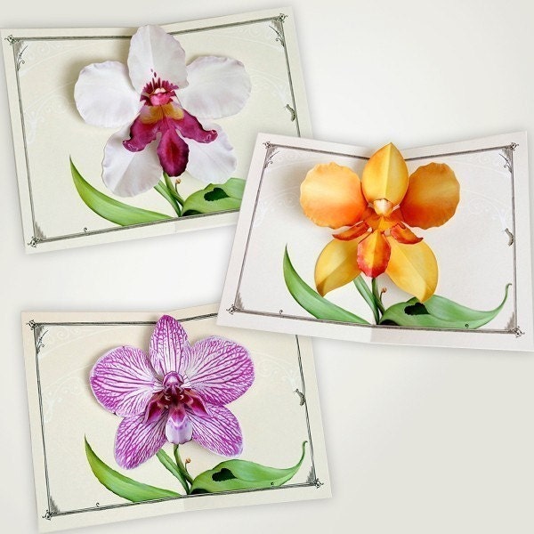 purple orchid flower pop up card