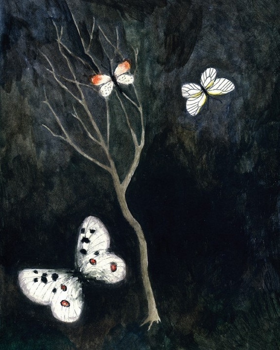 Night Butterflies (print)